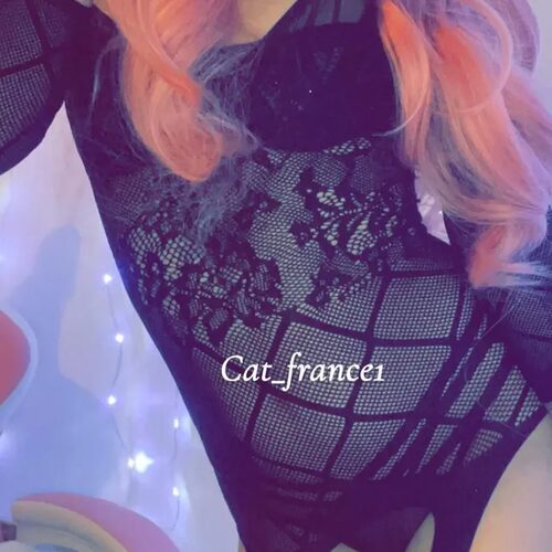 Cat France — aperçu 5
