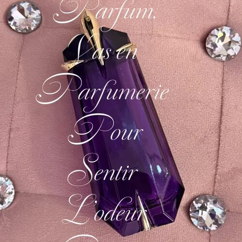 Fanylyon — aperçu 2