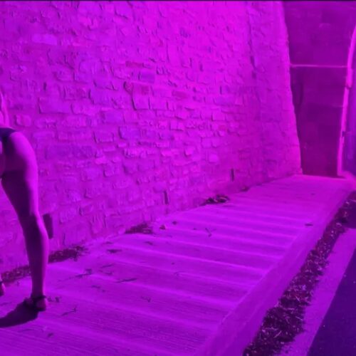 Mesanges — aperçu 1