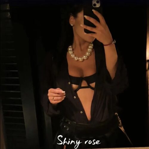 Shinyrose — aperçu 6