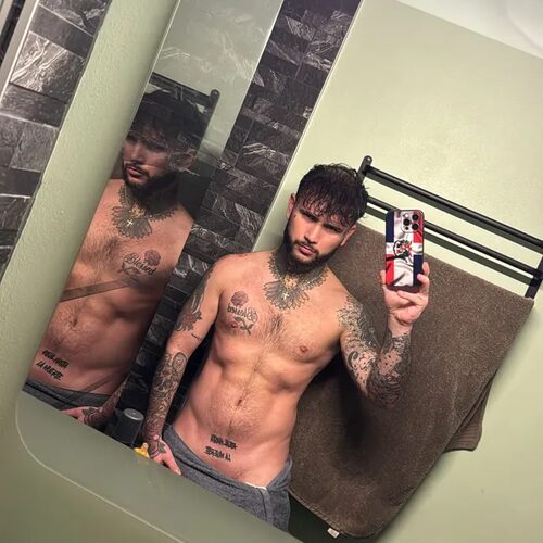Swanny — aperçu 1