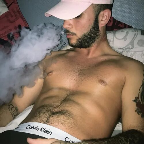 Swanny — aperçu 3